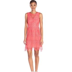 Shoshanna Corded Lace Kimmy Dress Coral size 6 NEW